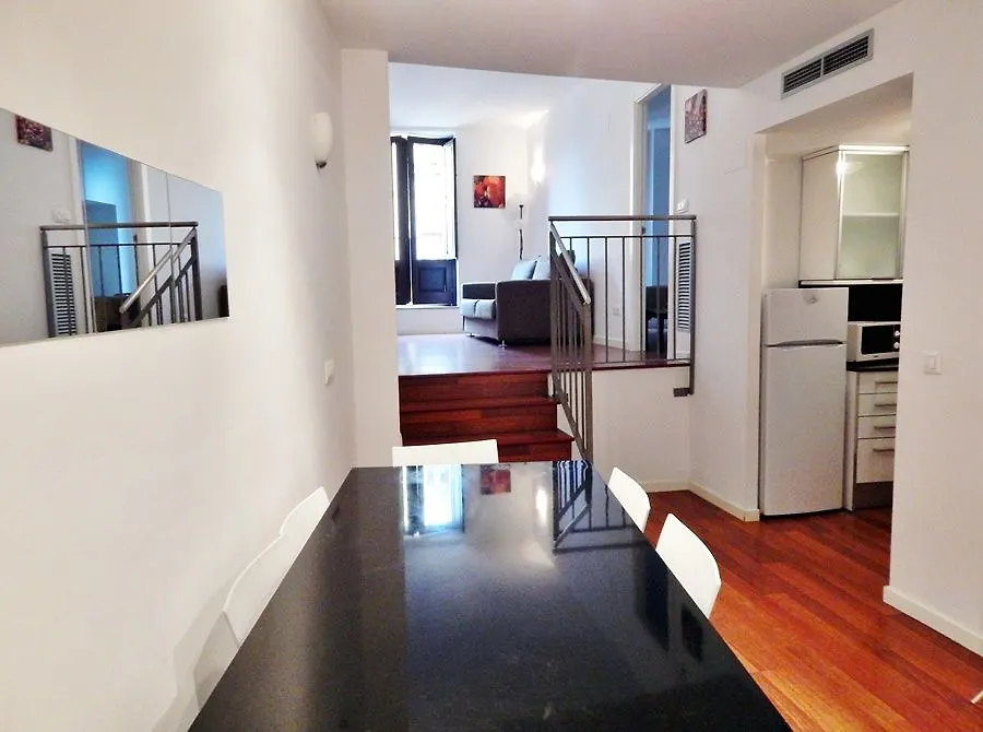 호텔 Apartaments Girorooms 지로나 스페인